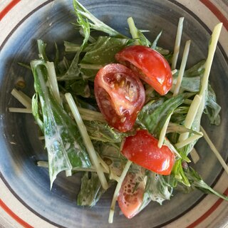 朝野菜♪水菜とプチトマトのマヨ麺つゆ